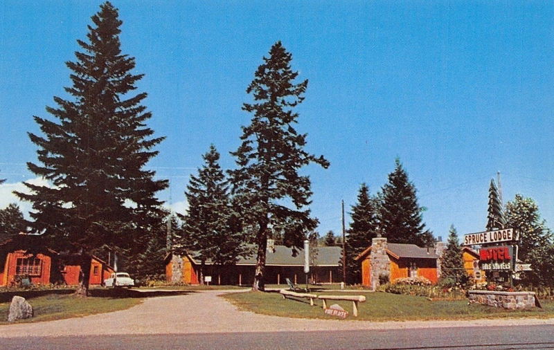 Spruce Lodge - Old Postcard